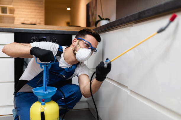 Reliable Clay Center, KS Pest Control Solutions
