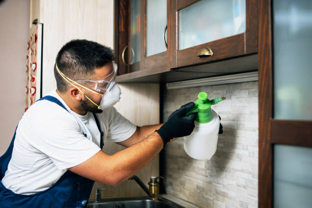 Best Pest Inspection Near Me  in Clay Center, KS