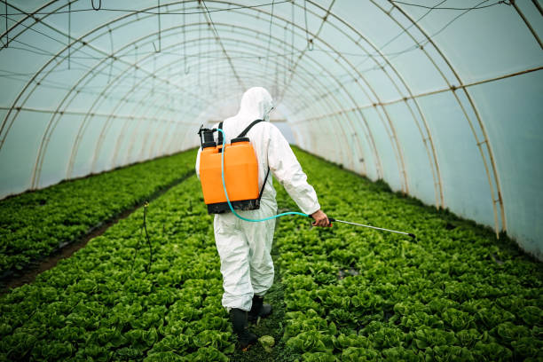 Best Residential Pest Control  in Clay Center, KS