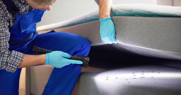 Best Flea Control Services  in Clay Center, KS