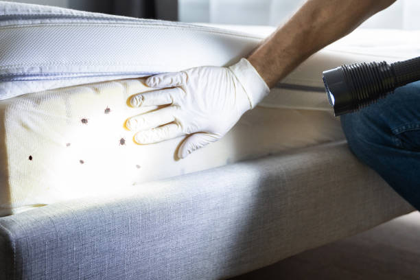 Best Bed Bug Extermination  in Clay Center, KS