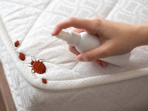 Best Affordable Pest Control Services  in Clay Center, KS