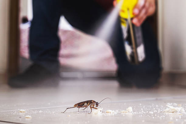 Best Pest Control Near Me in Clay Center, KS