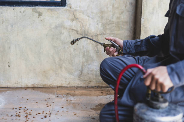 Best Pest Removal Services  in Clay Center, KS